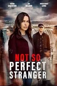 非完美陌生人