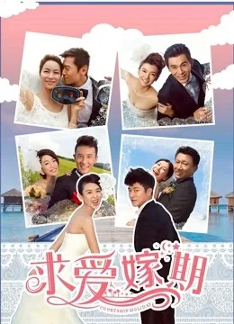 求爱嫁期(2014)